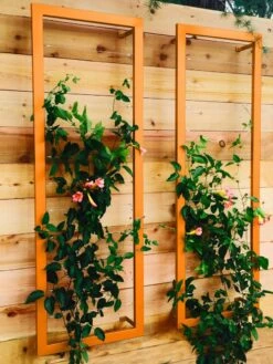 Ina Modern Wall Trellis Sr. -Eco Garden Shop 8600510 04V tif