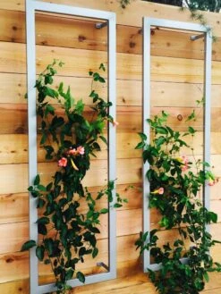 Ina Modern Wall Trellis Sr. -Eco Garden Shop 8600510 06V tif