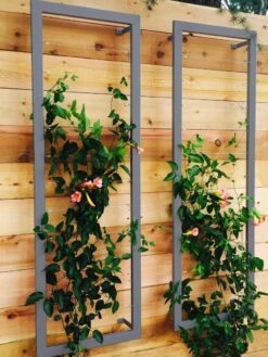 Ina Modern Wall Trellis Sr. -Eco Garden Shop 8600510 08V jpg