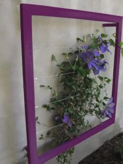 Ina Modern Wall Trellis Jr. 15 Ina Modern Wall Trellis Jr. -Eco Garden Shop 8600512 01V tif