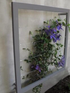 Ina Modern Wall Trellis Jr. 12 Ina Modern Wall Trellis Jr. -Eco Garden Shop 8600512 08V jpg