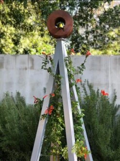 Bird Cafe + Akoris Garden Tuteur Sr. -Eco Garden Shop 8600525 07v 1