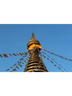 Tibetan Prayer Flags -Eco Garden Shop 8600646 04v