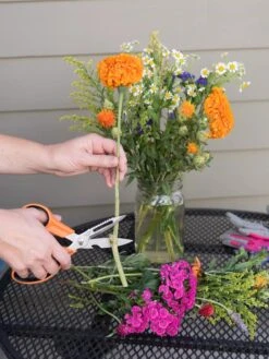 Gardener's Multi Purpose Scissors -Eco Garden Shop 8608655 19555 tif