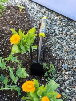 Gardener's 2-in-1 Short Handle Hoe And Cultivator -Eco Garden Shop 8608657 19479 tif