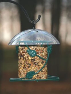Birds Choice Hanging Seed Cylinder Bird Feeder