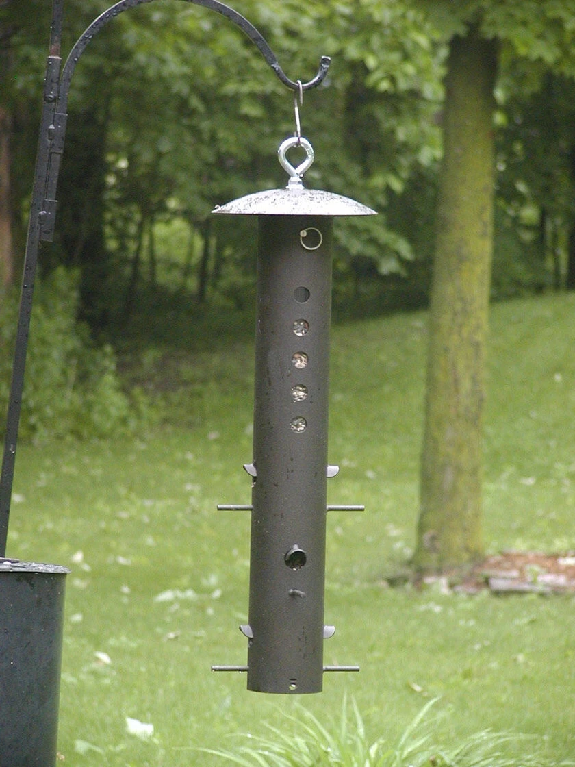 Birds Choice Bear-Proof Feeder 3 Birds Choice Bear-Proof Feeder