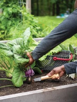 Gardener's Lifetime Hori Hori Knife -Eco Garden Shop 8608888 0422 tif