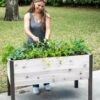 Self-Watering Eco-Stained Elevated Planter Box, 2' X 4' -Eco Garden Shop 8608961 5040 tif