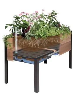 Self-Watering Eco-Stained Elevated Planter Box, 2' X 8' -Eco Garden Shop 8609009 SW insert art 2021 tif 2