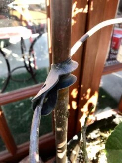 Garden Cane Connects, Set Of 6 -Eco Garden Shop 8609019 03V tif