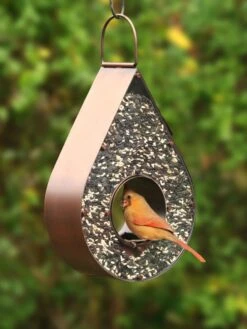 Teardrop Fly-Thru™ Bird Feeder -Eco Garden Shop 8609054 02v