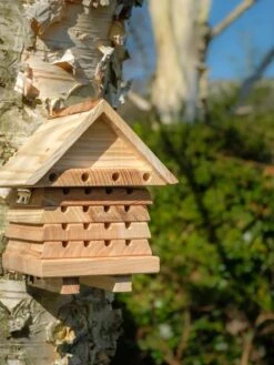 Solitary Bee Hive -Eco Garden Shop 8609060 08V tif