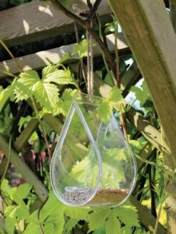 Dewdrop Window Bird Feeder -Eco Garden Shop 8609061 01V tif