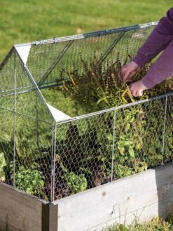 Chicken Wire Crop Coop -Eco Garden Shop 8609080 0187