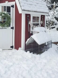 Chicken Wire Crop Coop -Eco Garden Shop 8609080 03IN tif