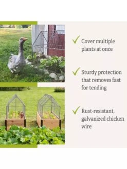Chicken Wire Crop Coop -Eco Garden Shop 8609080 2