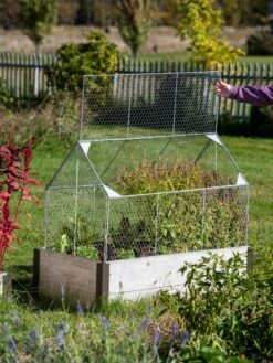 Chicken Wire Crop Coop -Eco Garden Shop 8609080 4024