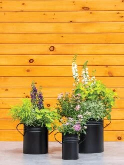 Metal Bucket Planters -Eco Garden Shop 8609085 0460 tif