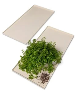 Oslo Grow Light Garden Trays, Set Of 2 -Eco Garden Shop 8609187 7686 tif