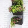 Wire Wall Pockets Vertical Gardens 2 Wire Wall Pockets Vertical Gardens -Eco Garden Shop 8609201 0349 tif