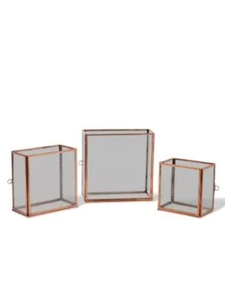 Copper And Glass Terrariums, Set Of 3 -Eco Garden Shop 8609212 0851 tif