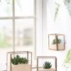 Copper And Glass Terrariums, Set Of 3 -Eco Garden Shop 8609212 2964 tif