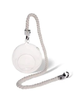 Mini Blown-Glass Hanging Terrarium, Set Of 2 -Eco Garden Shop 8609218 4734