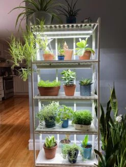 Oslo 4-Tier LED Grow Light Garden 23 Oslo 4-Tier LED Grow Light Garden -Eco Garden Shop 8609220 03IN tif