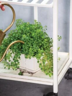 Oslo 2-Tier Plant Stand With Folding Shelves -Eco Garden Shop 8609220 4137 tif 1