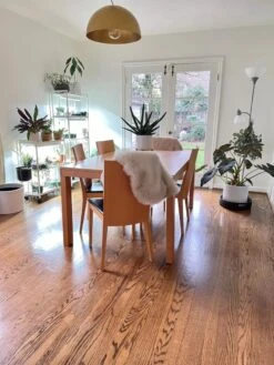 Oslo 2-Tier LED Grow Light Garden, 2 Fixtures -Eco Garden Shop 8609221 01IN tif