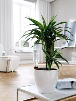 Hydro Wine Container Watering System, Set Of 4 -Eco Garden Shop 8609224 02V tif