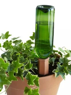 Hydro Wine Container Watering System, Set Of 4 -Eco Garden Shop 8609224 09V tif