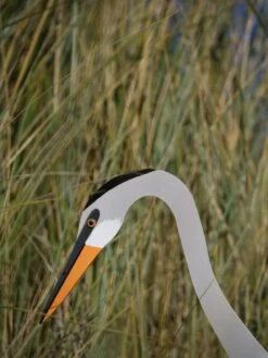 Florida Dancing Birds®, Great Blue Heron -Eco Garden Shop 8609451 03V jpg