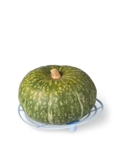 Melon And Squash Cradles, Set Of 6 -Eco Garden Shop 8609464 5204 tif