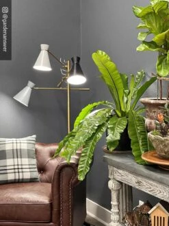 Adjustable 3-Arm Grow Lamp -Eco Garden Shop 8609868 01IN tif