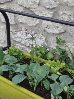 Vigoroot™ Self-Watering Easy Garden Planter -Eco Garden Shop 8609879 04V tif