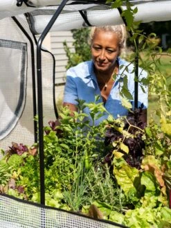 VegTrug®Patio Garden Greenhouse Cover Kit -Eco Garden Shop 8610172 1256