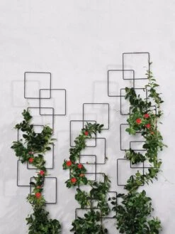 Building Blocks Wall Trellis, 45" -Eco Garden Shop 8610183 5811 tif