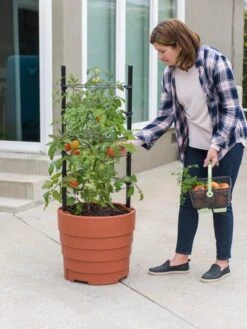 Gardener’s Victory Self-Watering Planter Garden Kit -Eco Garden Shop 8610239 06002 tif