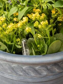 Adjustable Self-Watering Insert For Pots And Planters -Eco Garden Shop 8610250 0010 tif