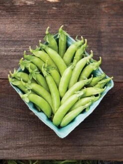 Family Garden Organic Seed Collection, Set Of 7 -Eco Garden Shop 8610262 cascadia peas 01V tif