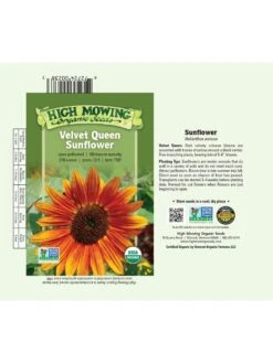 Velvet Queen Sunflower Organic Seeds -Eco Garden Shop 8610362 01v