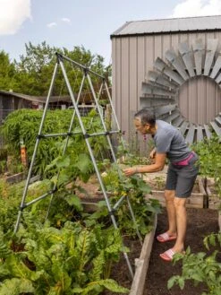 Connector Kit For DIY A Frame Plant Support -Eco Garden Shop 8610366 7584 tif