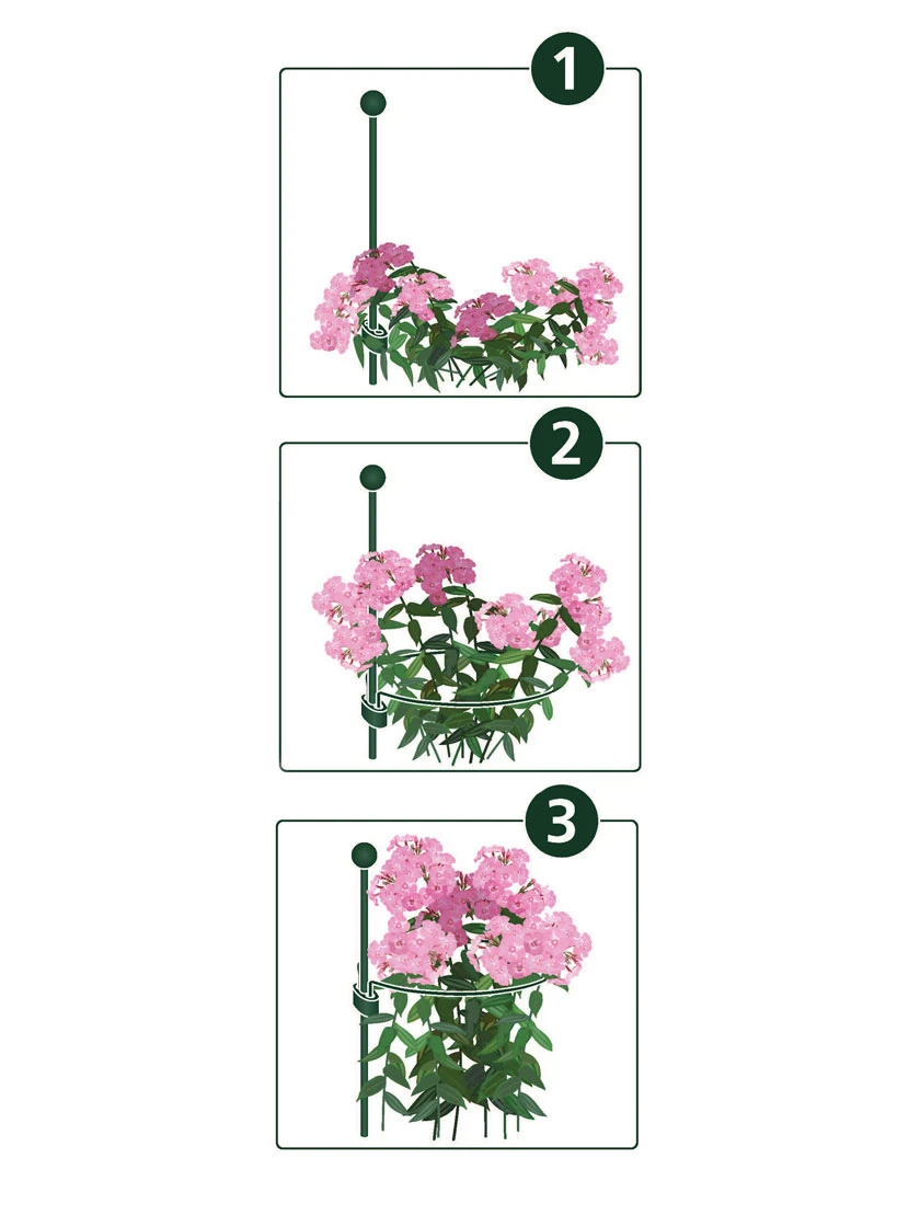 Peacock Mini Plant Support Rings 4", Set Of 2 4 Peacock Mini Plant Support Rings 4", Set Of 2 - Image 2