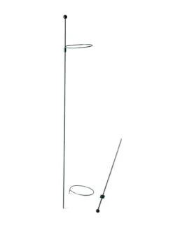 Peacock Mini Plant Support Rings 4", Set Of 2 14 Peacock Mini Plant Support Rings 4", Set Of 2 -Eco Garden Shop 8610386 9566