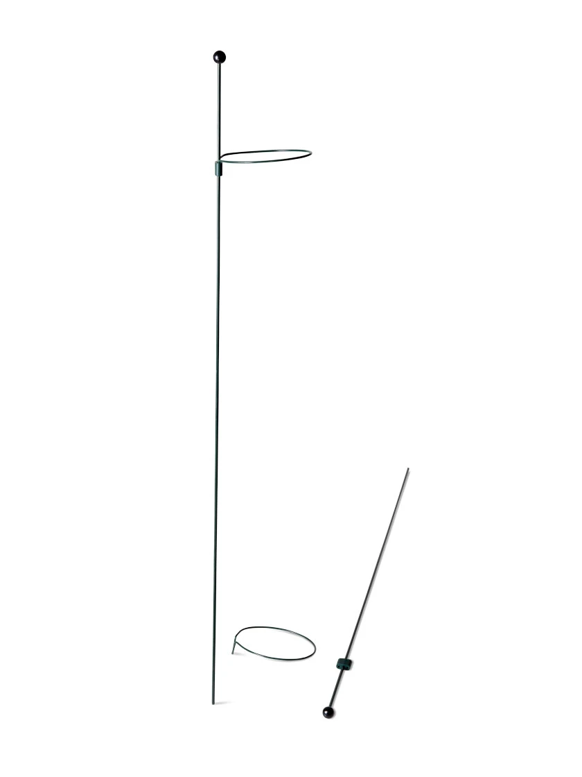 Peacock Mini Plant Support Rings 4", Set Of 2 7 Peacock Mini Plant Support Rings 4", Set Of 2 - Image 5