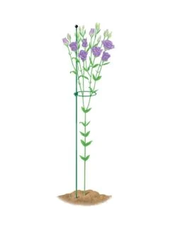 Peacock Mini Plant Support Rings 4", Set Of 2 12 Peacock Mini Plant Support Rings 4", Set Of 2 -Eco Garden Shop 8610386 peacock4x36