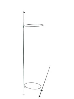 Peacock Mini Plant Support Rings 8", Set Of 2 15 Peacock Mini Plant Support Rings 8", Set Of 2 -Eco Garden Shop 8610388 9565 tif