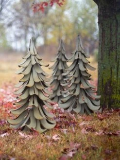 Desert Steel Blue Atlas Cedar -Eco Garden Shop 8610550 07v